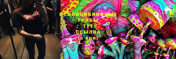 спиды Алзамай