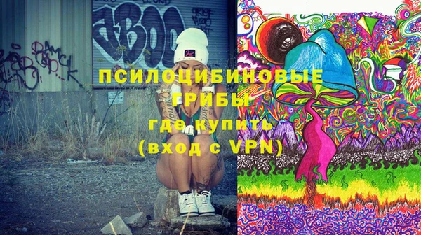 гашик Осташков
